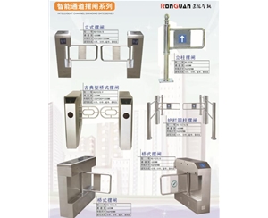 淄博智能通道摆闸系列